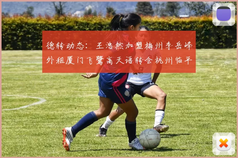 德转动态：王浩然加盟梅州李岳峰外租厦门飞鹭高天语转会杭州临平吴越